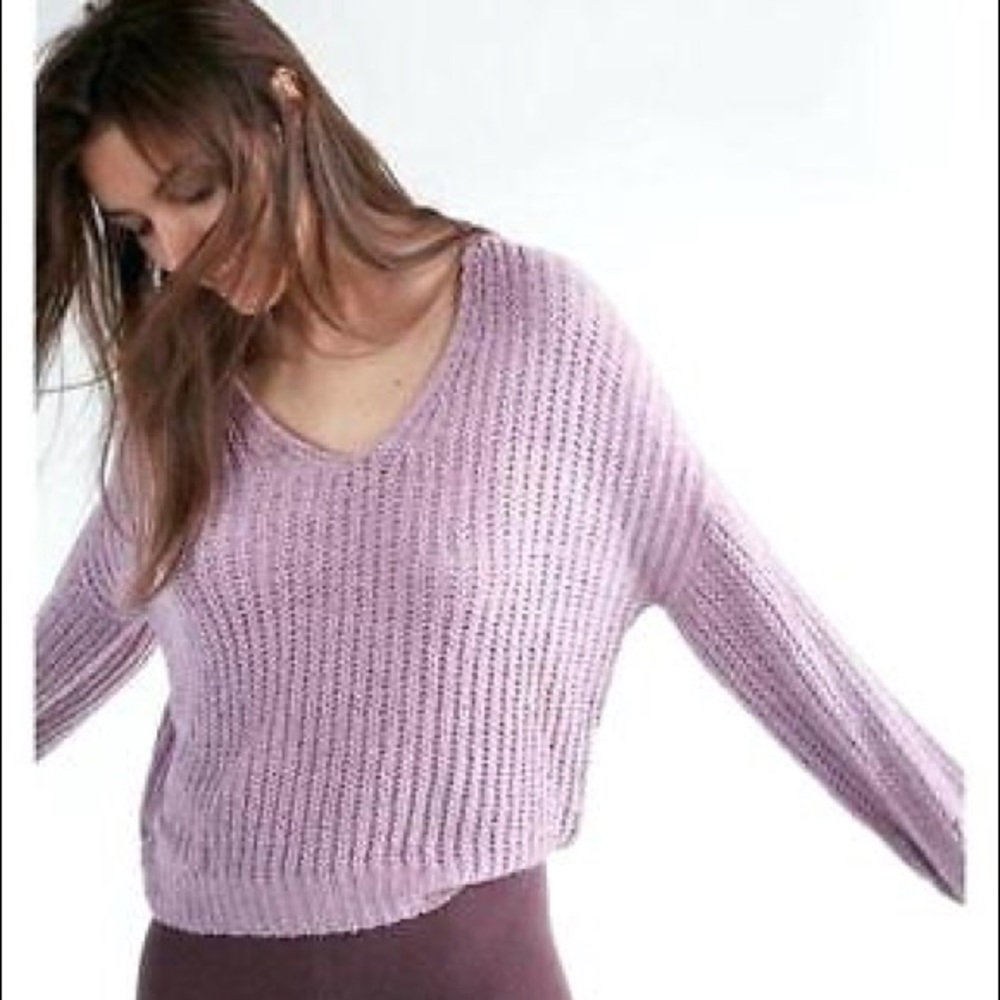 Express v- neck Chenille sweater